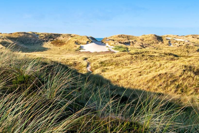 Foto von Ferienhaus LP38 in Houvig - Søndervig - Westjütland