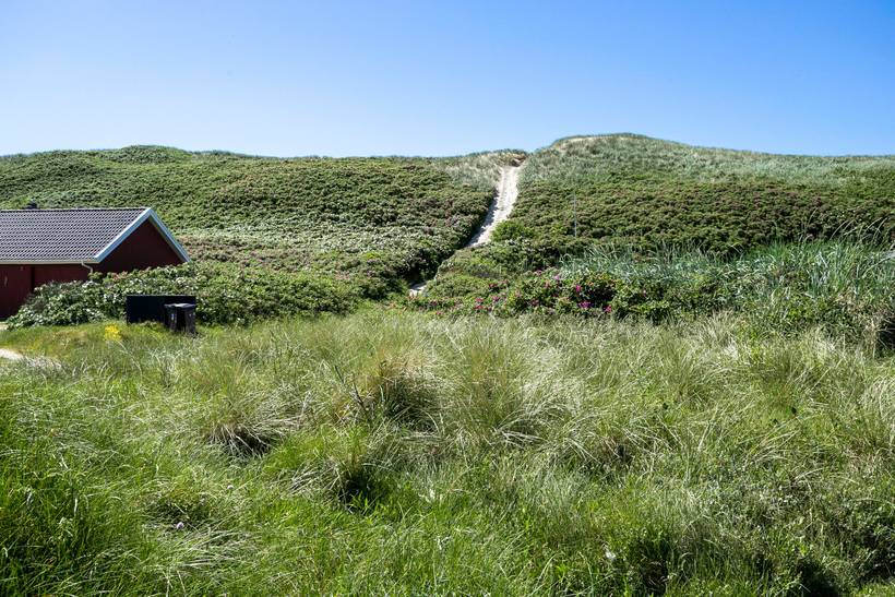 Foto von Ferienhaus LQ00 in Årgab - Westjütland