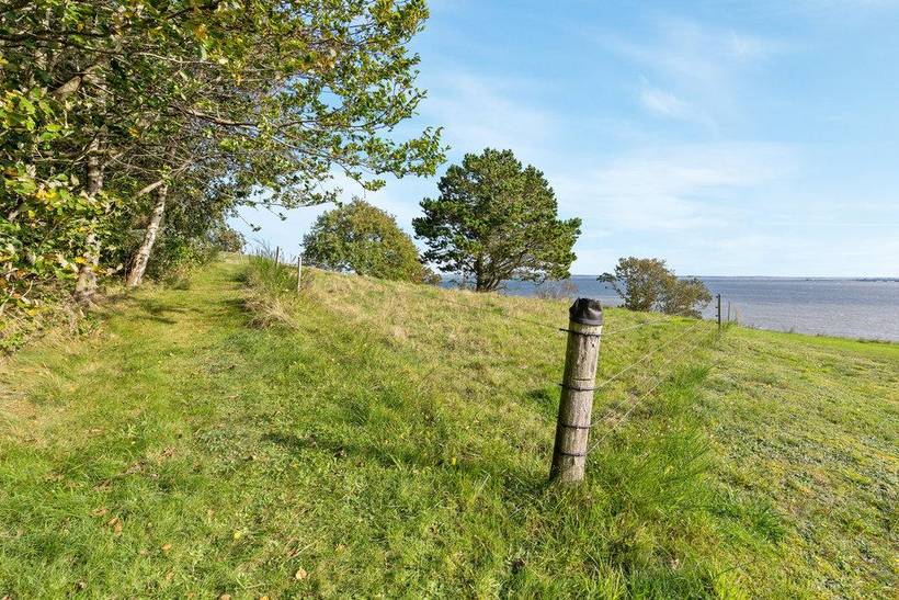 Foto von Ferienhaus LQ59 in Oddesund - Thy/Limfjord