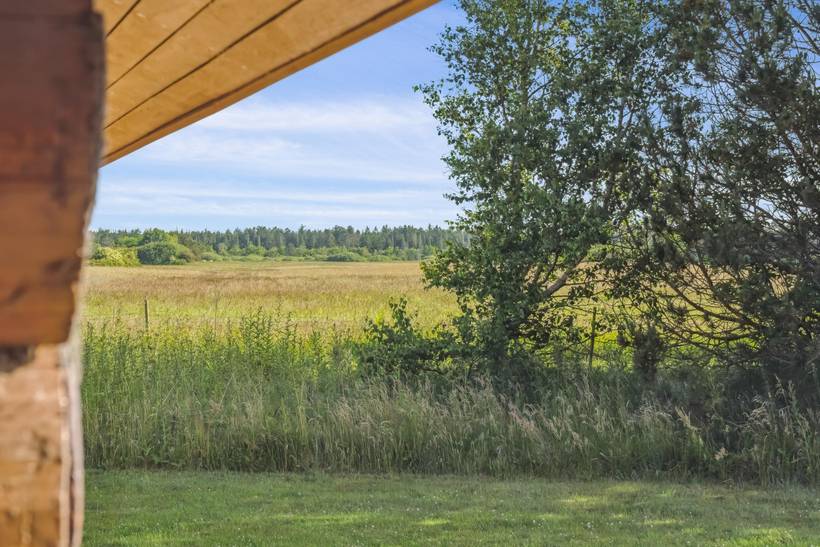 Foto von Ferienhaus LQ77 in Bulbjerg - Thy/Limfjord