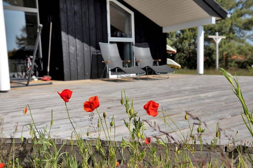 Foto von Ferienhaus LQ95 in Sjællands Odde - Westseeland