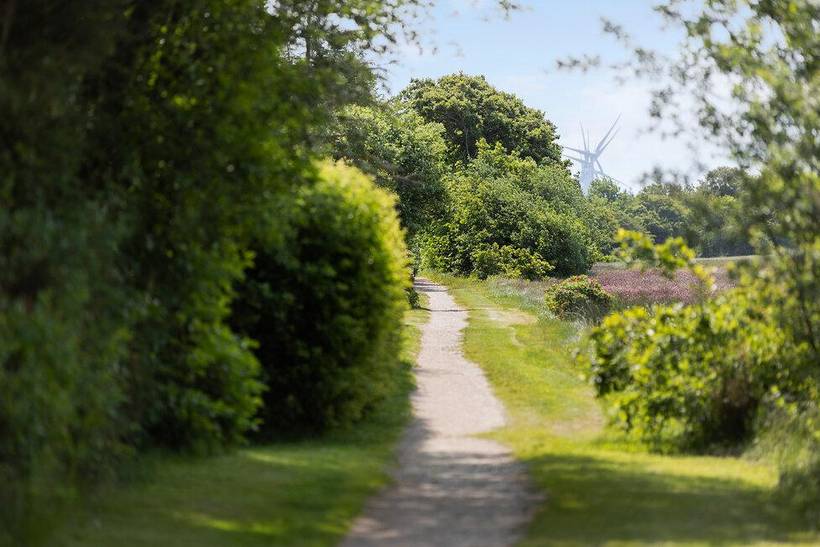 Foto von Ferienhaus LR07 in Skaven - Westjütland
