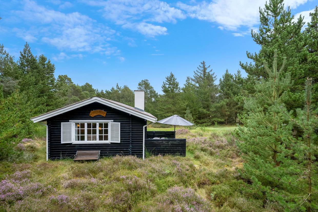 Foto von Ferienhaus LR34 in Blåvand - Westjütland
