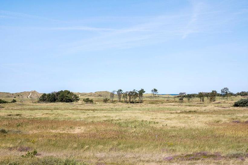Foto von Ferienhaus LR50 in Skagen - Nordjütland