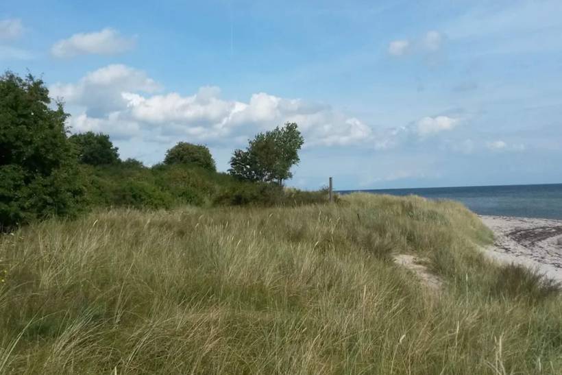 Foto von Ferienhaus LR80 in Marielyst - Falster