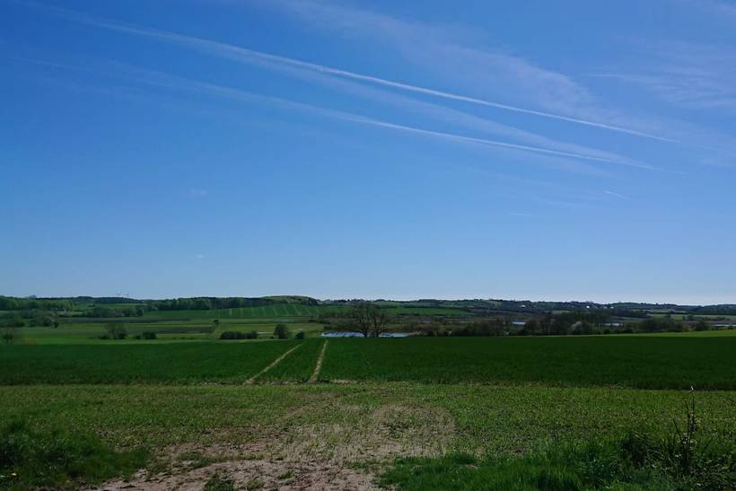 Foto von Ferienhaus LS11 in Mommark - Als