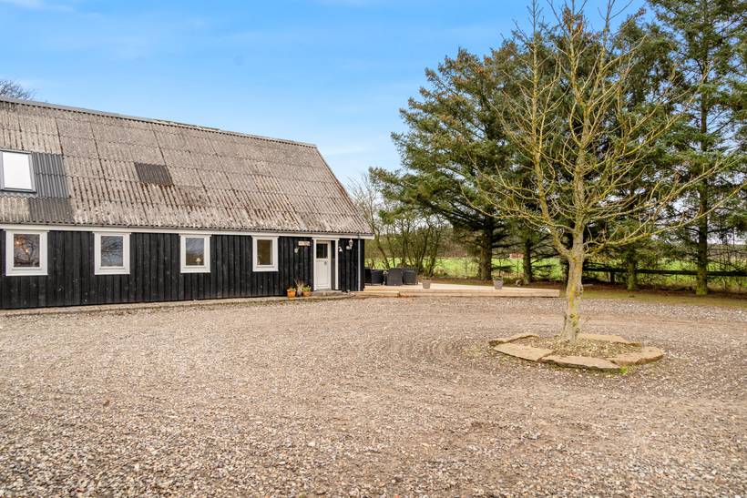 Foto von Ferienhaus LS12 in Blokhus - Nordjütland