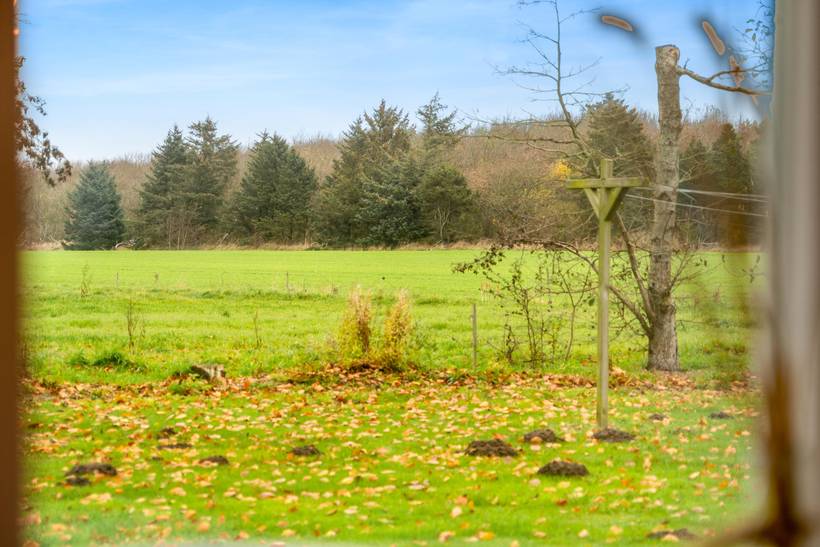 Foto von Ferienhaus LS12 in Blokhus - Nordjütland