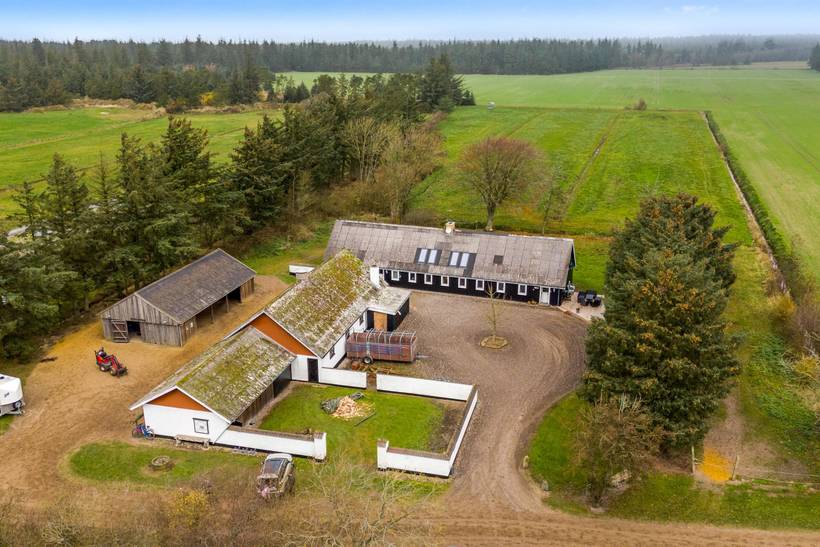 Foto von Ferienhaus LS12 in Blokhus - Nordjütland