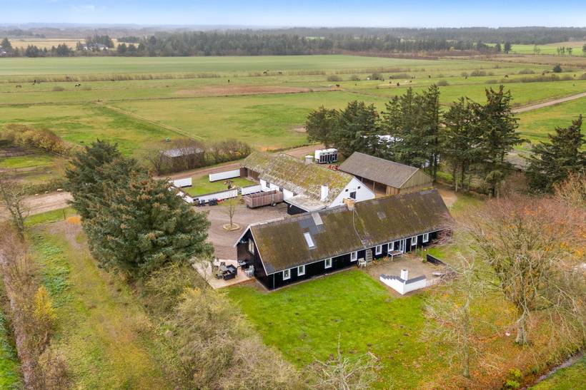 Foto von Ferienhaus LS12 in Blokhus - Nordjütland