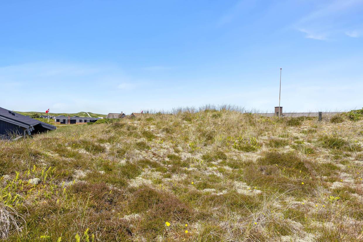 Foto von Ferienhaus LS45 in Bjerregård - Westjütland