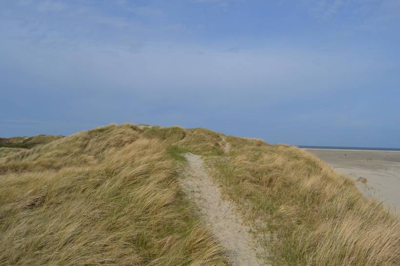 Foto von Ferienhaus LS82 in Lakolk - Rømø