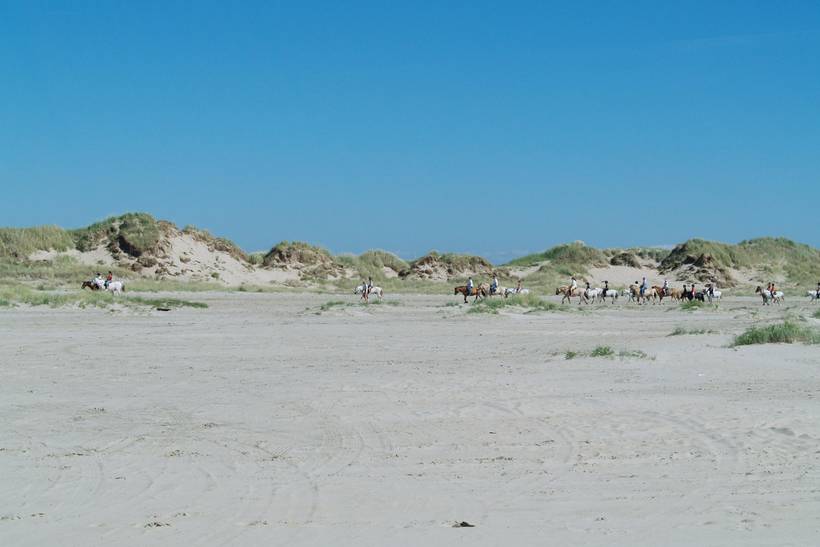 Foto von Ferienhaus LS82 in Lakolk - Rømø