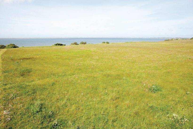 Foto von Ferienhaus LS85 in Krik Vig - Thy/Limfjord