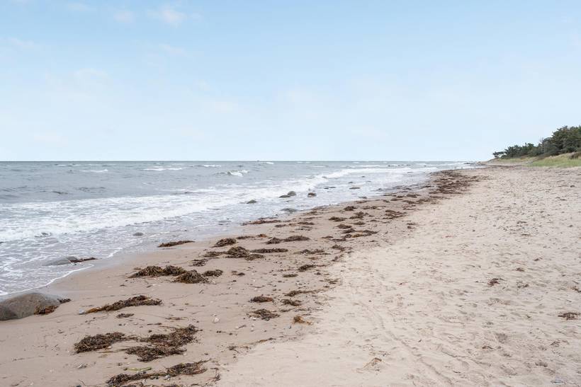 Foto von Ferienhaus LT63 in Udsholt - Gilleleje - Nordseeland