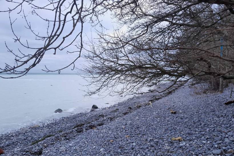 Foto von Ferienhaus LU11 in Klintholm Havn - Møn