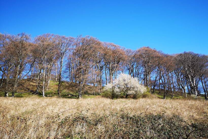 Foto von Ferienhaus LU11 in Klintholm Havn - Møn