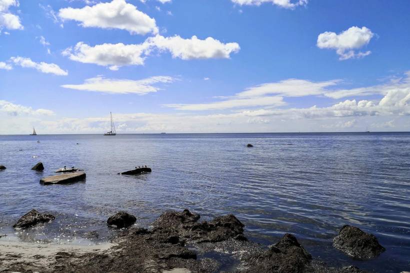 Foto von Ferienhaus LU11 in Klintholm Havn - Møn