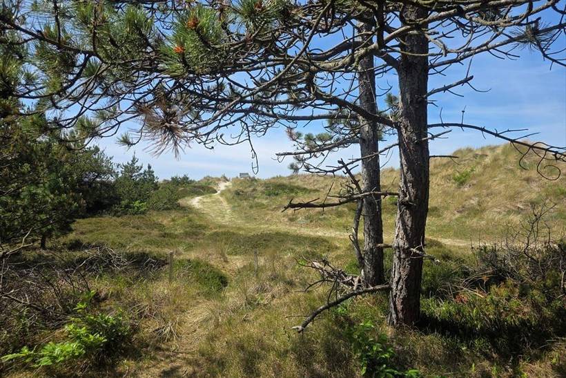 Foto von Ferienhaus LU55 in Sejerø Bugt - Westseeland