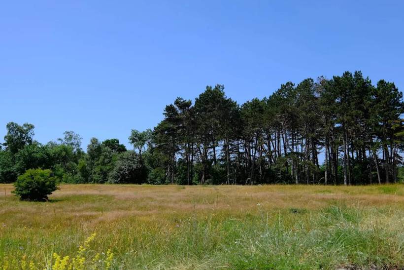 Foto von Ferienhaus LV10 in Marielyst - Falster