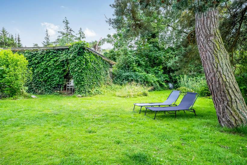 Foto von Ferienhaus LV22 in Marielyst - Falster