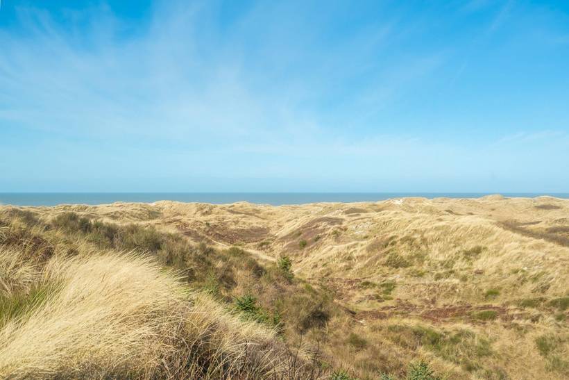 Foto von Ferienhaus LV32 in Henne Strand - Westjütland