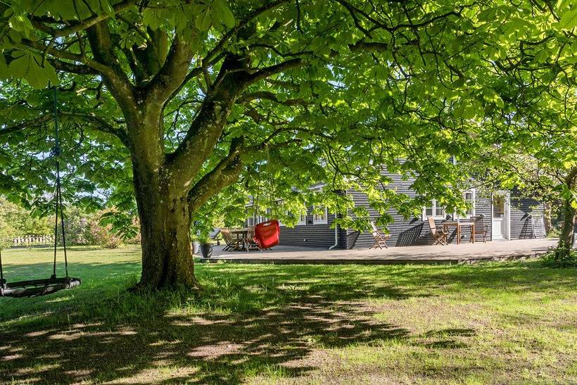 Foto von Ferienhaus LV33 in Marielyst - Falster