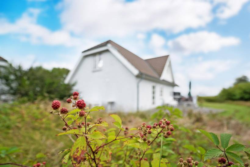 Foto von Ferienhaus LV87 in Kongsmark - Rømø