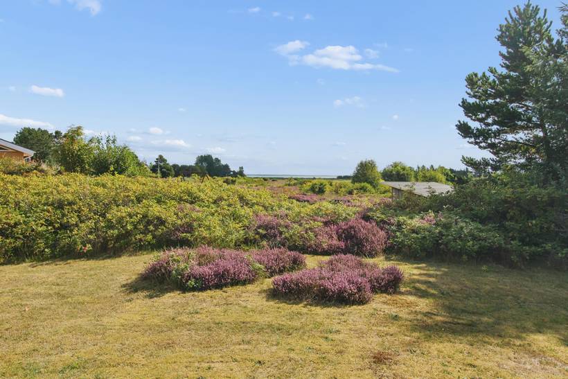 Foto von Ferienhaus LV87 in Kongsmark - Rømø