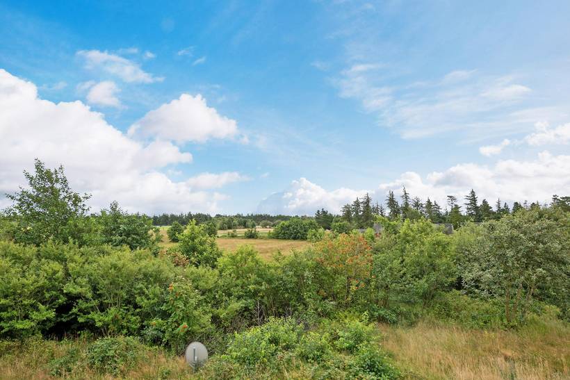 Foto von Ferienhaus LV87 in Kongsmark - Rømø