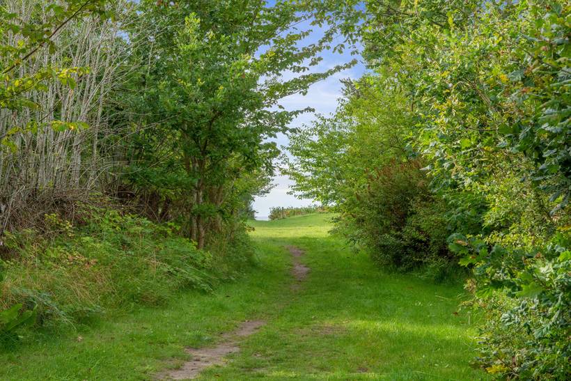 Foto von Ferienhaus LW18 auf Arnager - Bornholm
