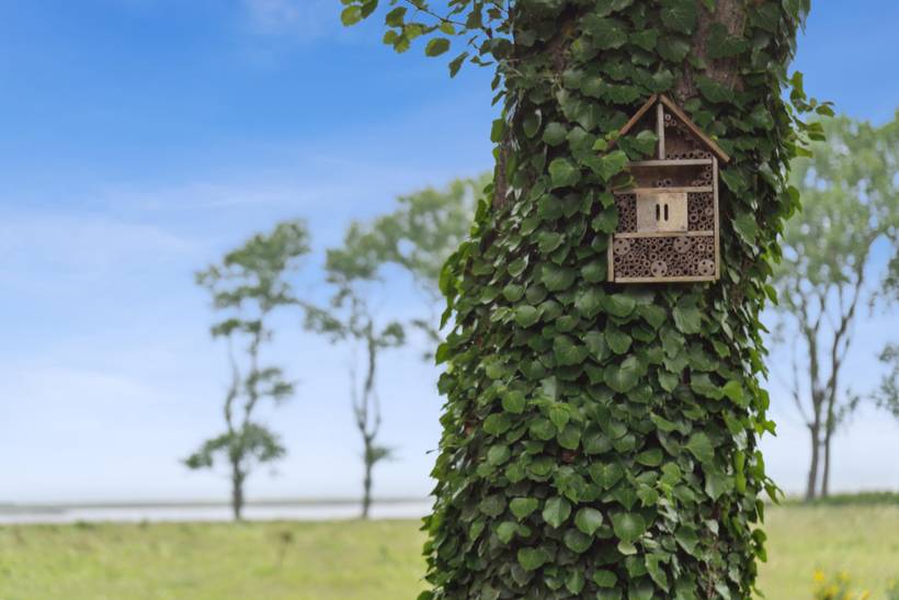 Foto von Ferienhaus LW23 in Fyns Hoved - Kerteminde - Nordfünen