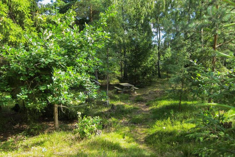 Foto von Ferienhaus LW99 in Dueodde - Bornholm
