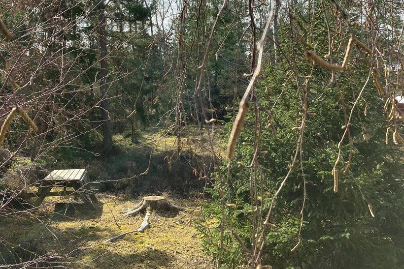 Foto von Ferienhaus LW99 in Dueodde - Bornholm