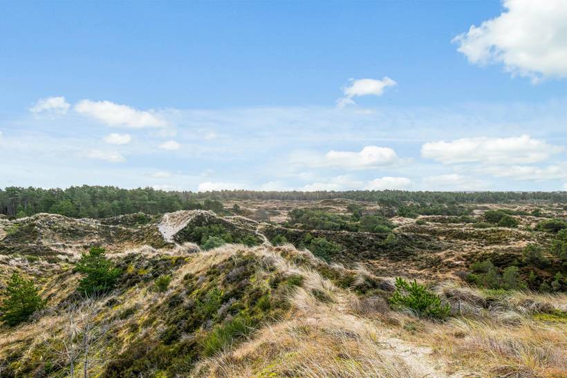 Foto von Ferienhaus LX05 in Henne Strand - Westjütland