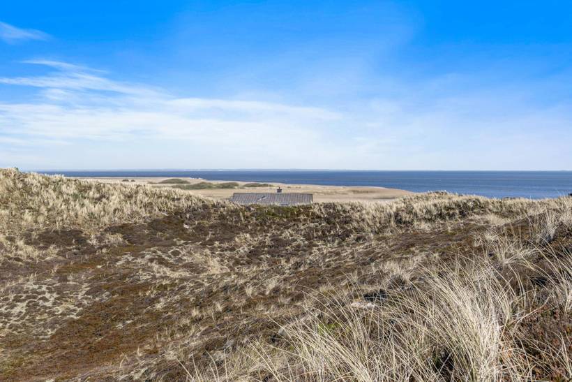Foto von Ferienhaus LX19 in Skodbjerge - Bjerregård - Westjütland