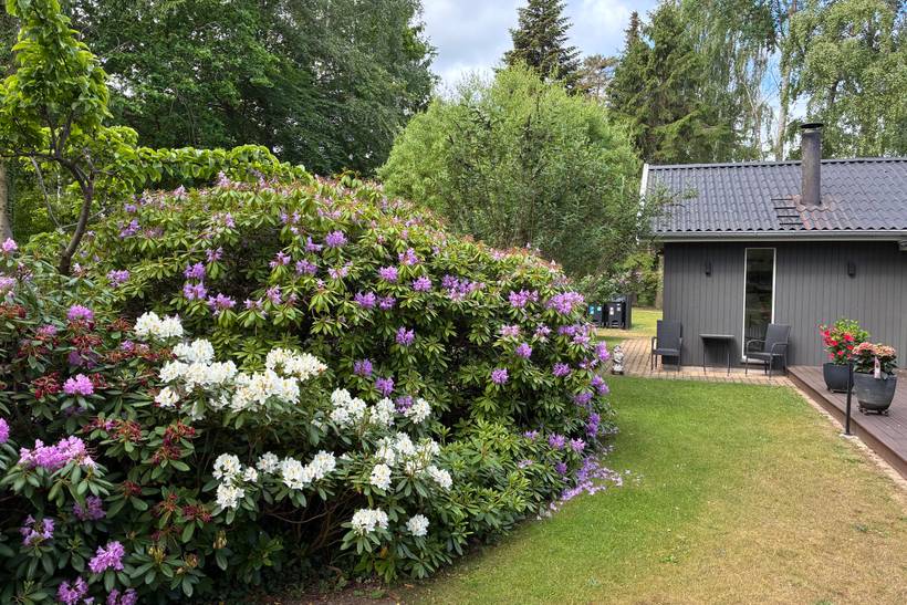 Foto von Ferienhaus LX44 in Strøby Ladeplads - Stevns - Südseeland