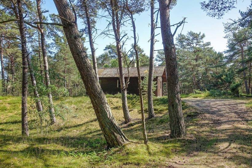 Foto von Ferienhaus LX70 in Dueodde - Bornholm