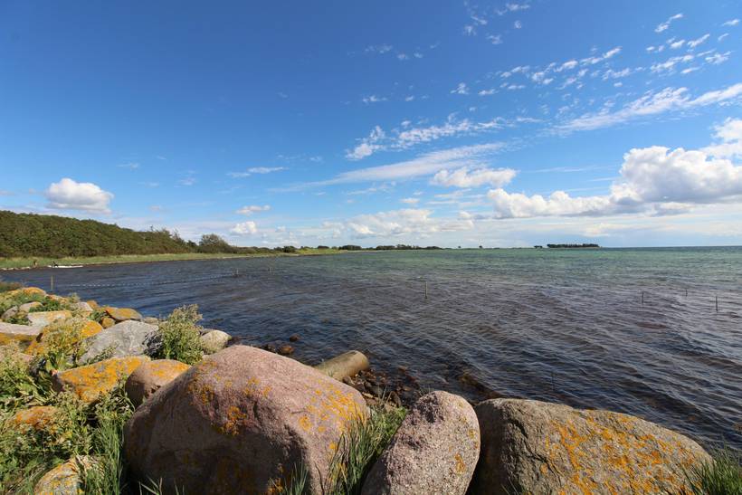 Foto von Ferienhaus LX73 in Tåsinge - Südfünen