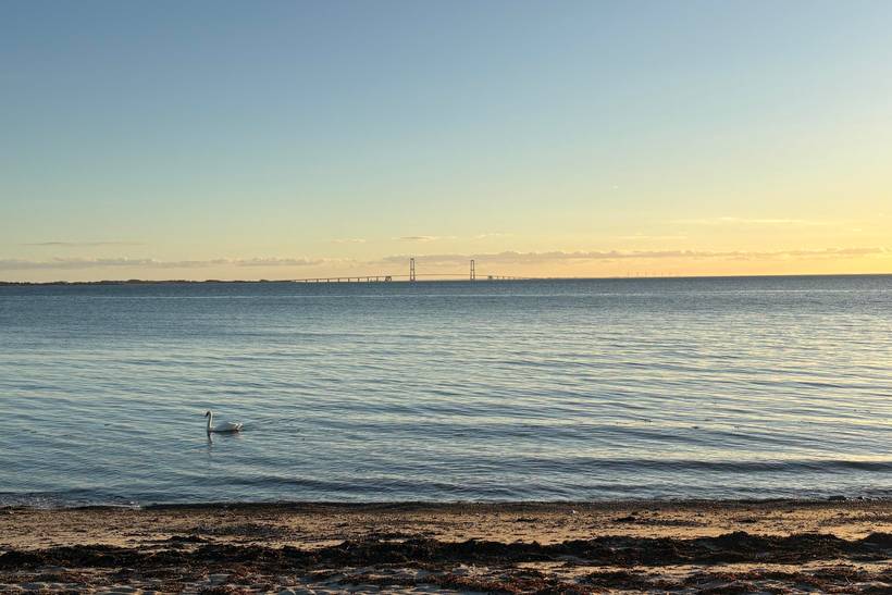 Foto von Ferienhaus LY03 auf Kelstrup - Westseeland