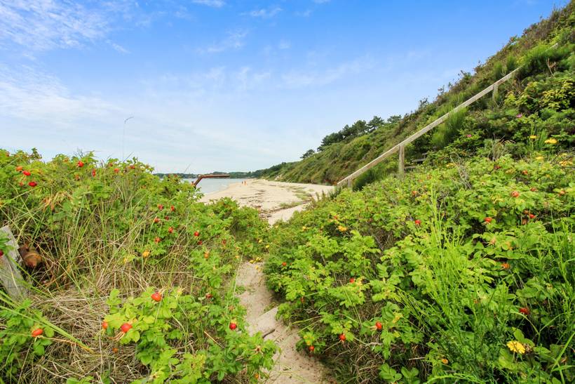 Foto von Ferienhaus LY81 auf Rønne - Bornholm