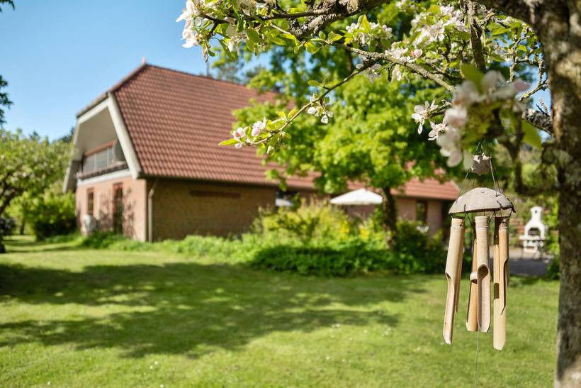 Foto von Ferienhaus LZ06 in Havneby - Rømø