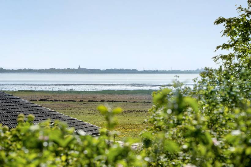 Foto von Ferienhaus LZ06 in Havneby - Rømø