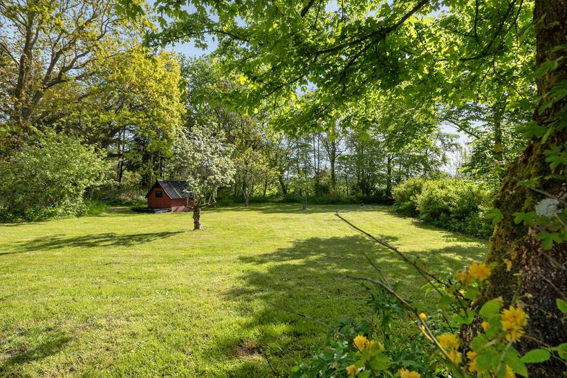 Foto von Ferienhaus LZ06 in Havneby - Rømø