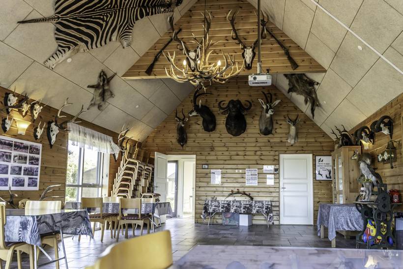 Foto von Ferienhaus LZ15 in Blokhus - Nordjütland