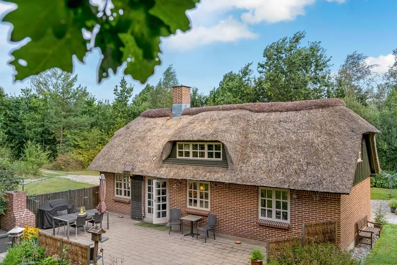 Foto von Ferienhaus LZ47 in Asaa - Nordjütland Ost