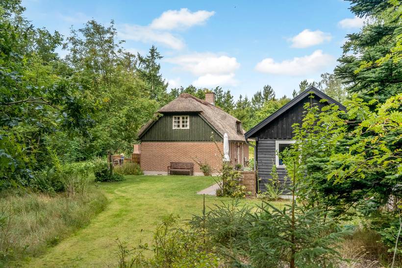 Foto von Ferienhaus LZ47 in Asaa - Nordjütland Ost