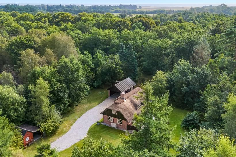 Foto von Ferienhaus LZ47 in Asaa - Nordjütland Ost