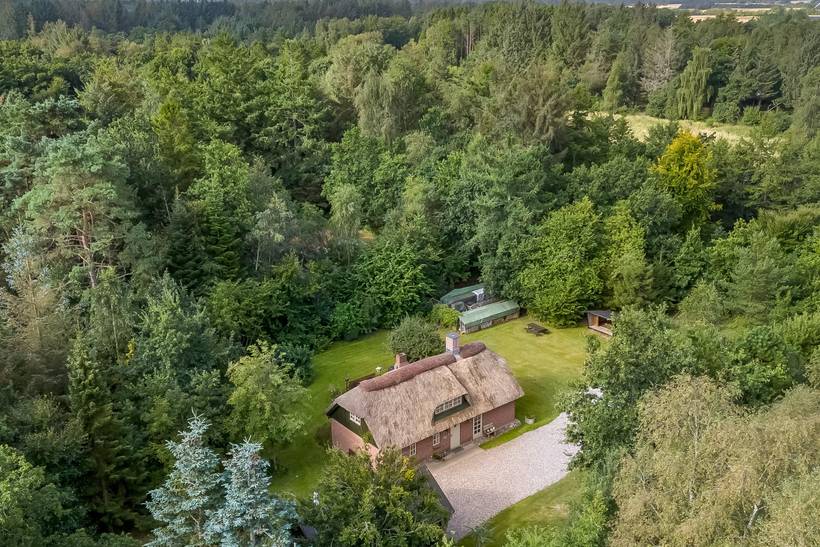 Foto von Ferienhaus LZ47 in Asaa - Nordjütland Ost