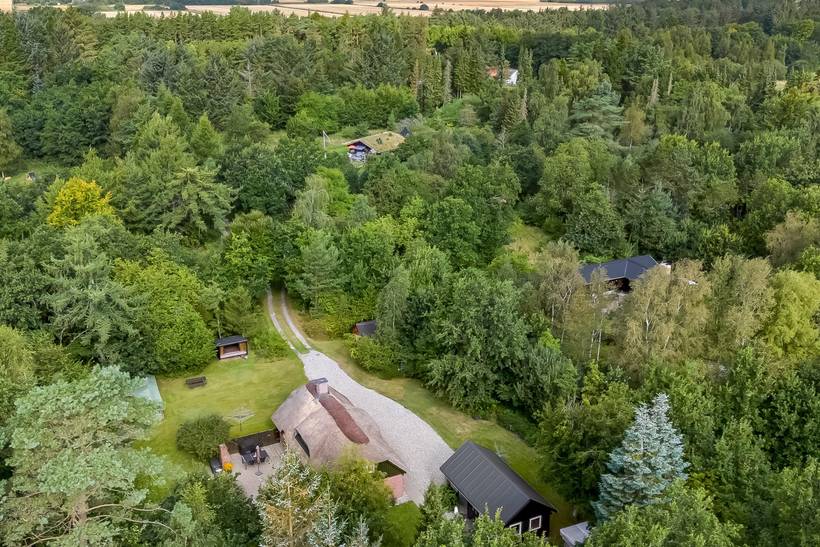 Foto von Ferienhaus LZ47 in Asaa - Nordjütland Ost